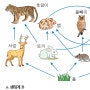 #유엔환경포럼재단, 생물다양성협약 (CBD: Convention on Biological Diversity)