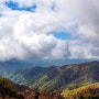 국립공원관리공단, 국립공원 특별보호구역 지정