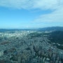 [대만여행] 미세먼지와 함께한 타이베이101타워 낮에가는건 비추해요