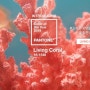 2019년 올해의 팬톤 컬러 리빙코랄(Living Coral),팬톤컬러 인테리어, 리빙코랄인테리어