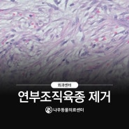 연부조직육종 종양제거수술