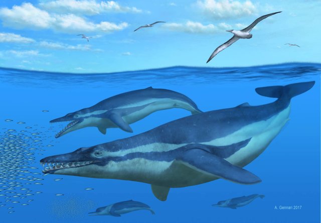 [고생물] 코로노돈 (Coronodon) : 네이버 블로그