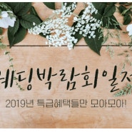 웨딩박람회일정 2019년 특급혜택들만 모아모아!