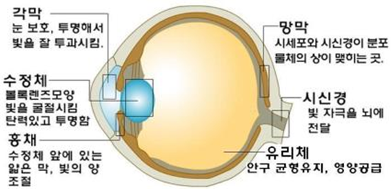 영등포구 한미간호학원 기초해부생리학 요점정리 네이버 블로그