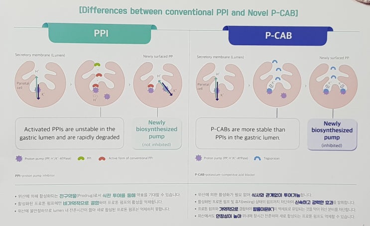 위산분비억제 신약: 케이캡정 (P-CAB 계열) 빠른 효과, 긴 지속시간 PPI를 넘어서는 베스트셀러가 될 것인가? [더맑은 ...