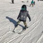 7세 스키강습