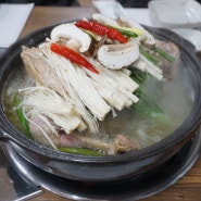 원주 행구동 맛집 쉼표 닭백숙 맛있어요