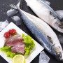 흰살 생선과 붉은살 생선 맛과 영양 차이
