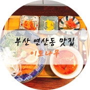 [부산맛집ㅣ연산동 덮밥/라멘집] 배만 안부르면 계속먹고싶은 사케동! 연어덮밥! 이토나무