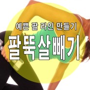 [팔뚝살빼기]예쁜 팔 라인 만들기-양재동 퍼스널트레이닝 피티랩