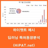 [하이팻트] HiPAT 사이트 예시 (딥러닝 특허동향분석)