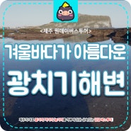 [제주볼거리] 제주겨울바다 광치기 해변