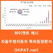 [하이팻트] HiPAT 사이트 예시 (자율주행자동차 특허동향분석)