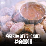 오설록맛집, 흑돼지 전문점 숯불애