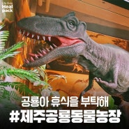 공룡에 뽀시래기들까지 한번에, 제주공룡동물농장