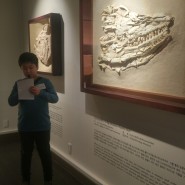 강남 화석박물관 올드스토리뮤지엄 겨울방학 체험학습 나는 도슨트