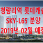 청량리역 롯데캐슬 SKY-L65 19.02 분양