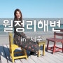 제주 여행 : 월정리해변 에서 사진 찍기