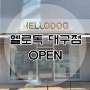 헬로독 대구점 OPEN :)