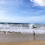 <하와이여행> 서핑스팟 와메이아 베이 비치(Waimea Bay Beach Park)