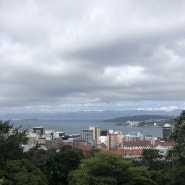 뉴질랜드 북섬(13)-웰링턴 “보테닉가든,BYE 2018”