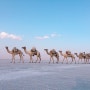 [아프리카여행 56일차]에티오피아 메켈레(Mekelle)- 다나킬 투어(Danakil Desert) 1일차 소금사막에서 일몰보기