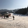 베어스타운 코코몽 눈썰매장, 올겨울 첫 눈썰매~