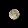 2019년 슈퍼문 [super moon]-1월 새해 첫 보름달