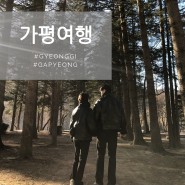 [가평여행] 서울 근교 여행, 남이섬 방문기