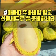 뚜바비앙 망고 설선물세트