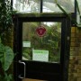 영국 Kew Garden 구경 #3 네펜데스, 사라세니아 구경