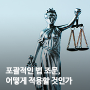 [법무법인 태평양] 포괄적인 법 조문, 어떻게 적용할 것인가