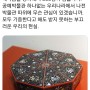 '100억 기증' 손혜원을 투기·차명으로 몰고 사과도 안 하는 SBS