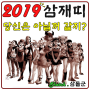 2019 삼재띠 조심하면 좋을 것들