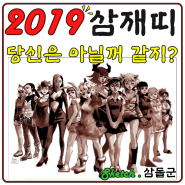 2019 삼재띠 조심하면 좋을 것들