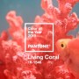 2019 트렌트 컬러는 "리빙 코랄(Living Coral)"