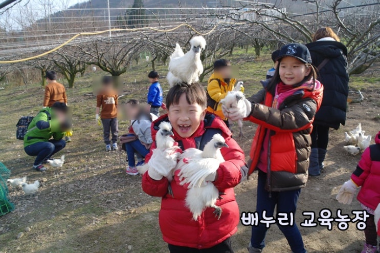 (스크랩 이벤트) 경남체험 배누리교육농장 체험