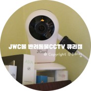 JWC몰 큐리캠 반려동물 고슴도치 홈CCTV