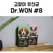 고양이유산균 추천 Dr.WON #8 닥터원 유산균으로 면역력 관리