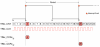 stm32 hal input capture