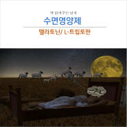 수면영양제 : 멜라토닌 / 트립토판 (효과와 단점)