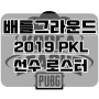 [배그]배틀그라운드 PKL Phase1 프로팀팀별 선수로스터