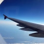 [NY]인천ICN-뉴욕JFK 아시아나 A380 기내식 & 이코노미 꿀좌석 추천 TIP