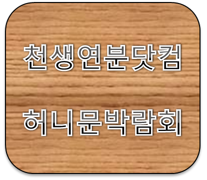 천생연분닷컴 허니문박람회 2019년 2월 그랜드워커힐 호텔 일정 및 혜택 안내