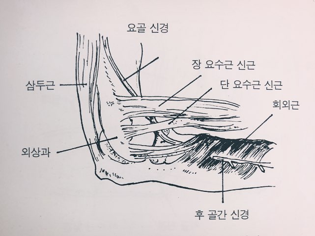 요골관증후군, 발병부터 증상까지 : 네이버 블로그