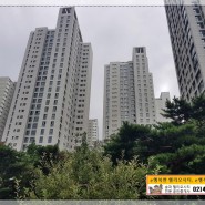송파 헬리오시티 로얄층 42평대 시세와 주변 인프라