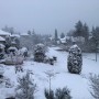 눈이 펑펑 온 이월의 시애틀