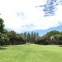 Woollahra golf club (호주 골프)