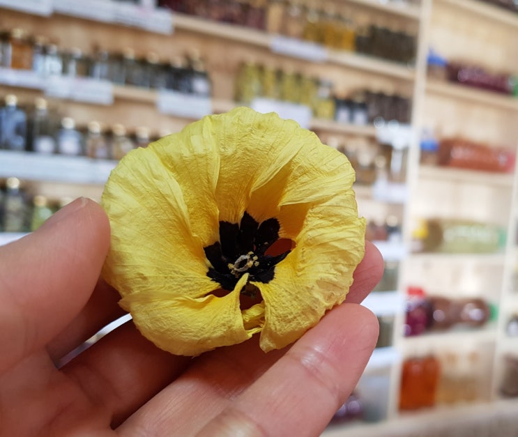 거제 꽃차 판매점_소풍/거제꽃차소믈리에 : 네이버 블로그