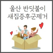 반딧불이 새집증후군제거로 실내미세먼지까지 안심하세요